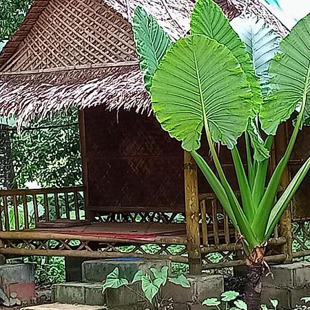 Ferienwohnung Khai Jungle Experience Camp & Tour Khao Sok National Park Exterior foto